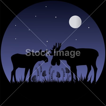 在月光下的两个麋鹿剪影图片素材(图片编号:5