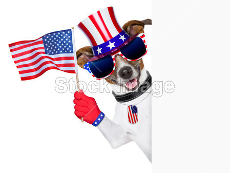 美国美国狗图片素材(图片编号:50787159)_其它