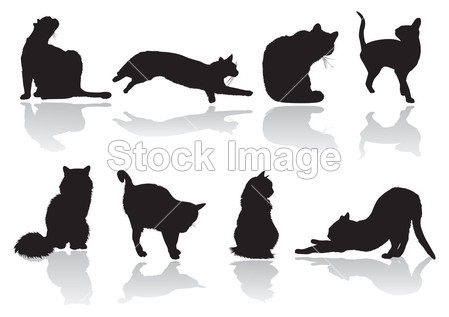 猫的姿势图片素材(图片编号:50789766)_其它图