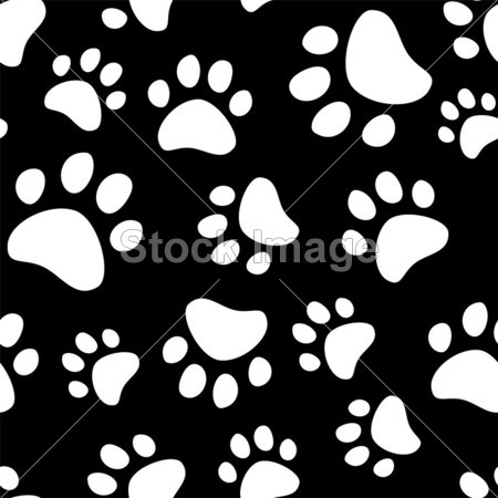 熊掌脚印的一只狗或猫无缝图案在黑白色苏州高