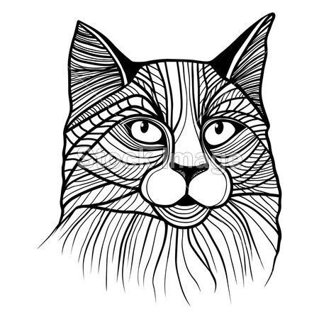 猫头插画图片素材(图片编号:50796482)_其它图