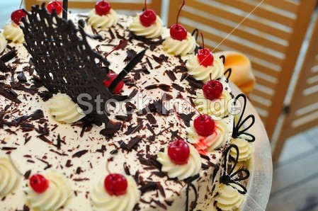 奶油白巧克力蛋糕图片素材(图片编号:5081380