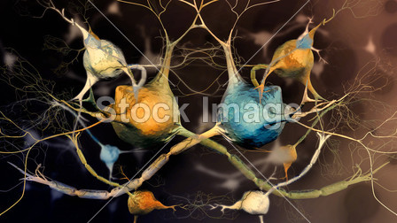 神经元和中枢神经系统-抽象背景图片素材(图片