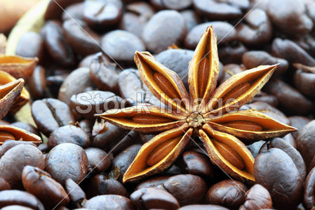 八角星和咖啡豆图片素材(图片编号:50831204