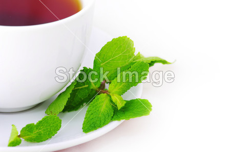 杯与薄荷红茶图片素材(图片编号:50873751)_咖