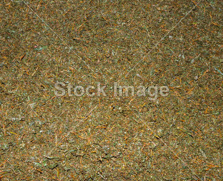 崩溃了未排序新鲜绿茶作物图片素材(图片编号