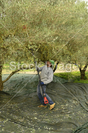 希腊克里特岛图片素材(图片编号:50922136)_工