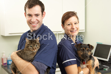 男性的兽医外科医生和护士在手术中持有的猫和
