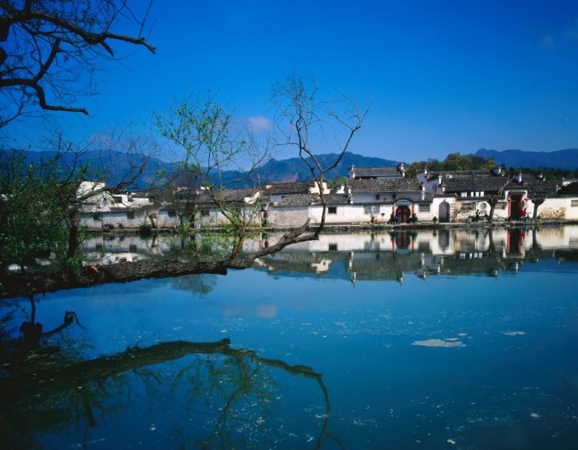 河塘家園圖片下載 河塘家園 水鄉 水鄉風情 水鄉風景圖