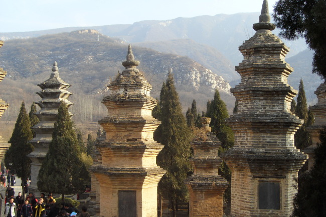 少林寺塔林模板下载 少林寺塔林图片下载 塔林 建筑 旅游 风景 人文