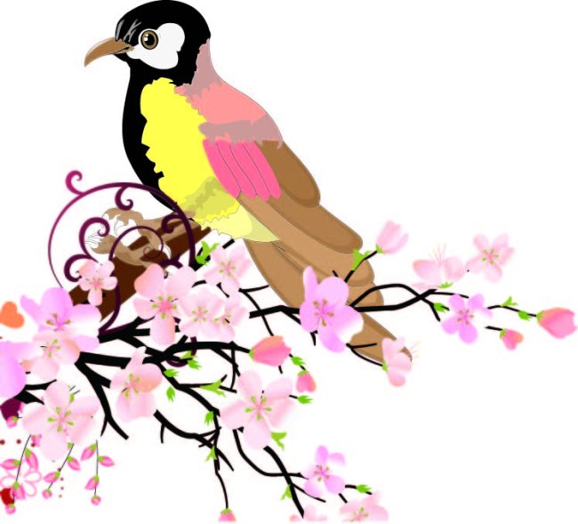 【ai】矢量ai鸟插画素材