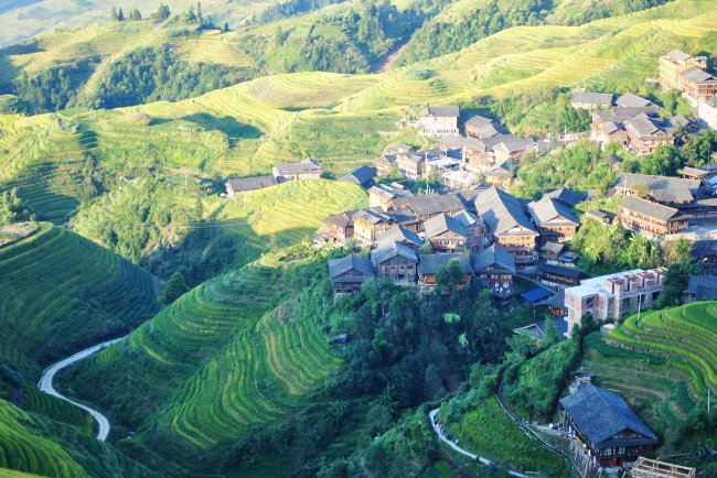 龍勝梯田壯族山寨模板下載 龍勝梯田壯族山寨圖片下載 旅遊 景點