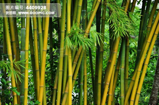 【墨联原创】韵联岁寒三友