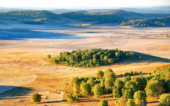 戈壁图片模板下载 戈壁图片图片下载 荒漠 绿洲 绿洲图片 戈壁 戈壁滩