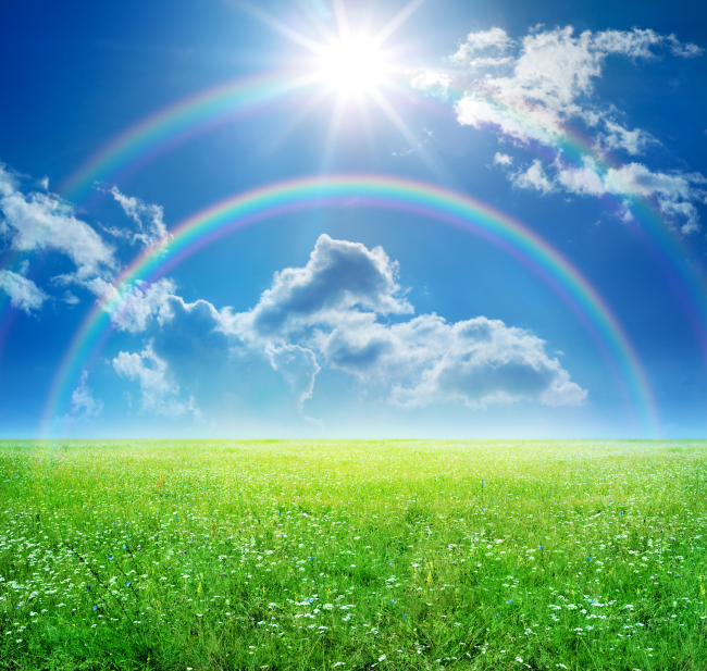 高清阳光彩虹草原图片