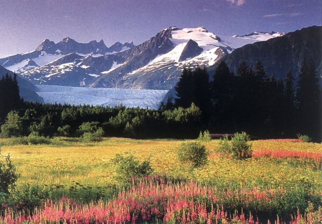 雪山湖景草地風光模板下載(圖片編號:10600093)_自然風光_景物|風景