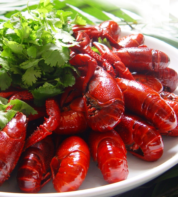 【jpg】龙虾菜式_图片编号:wli10642702_其他_其它图片|简历|档案|地