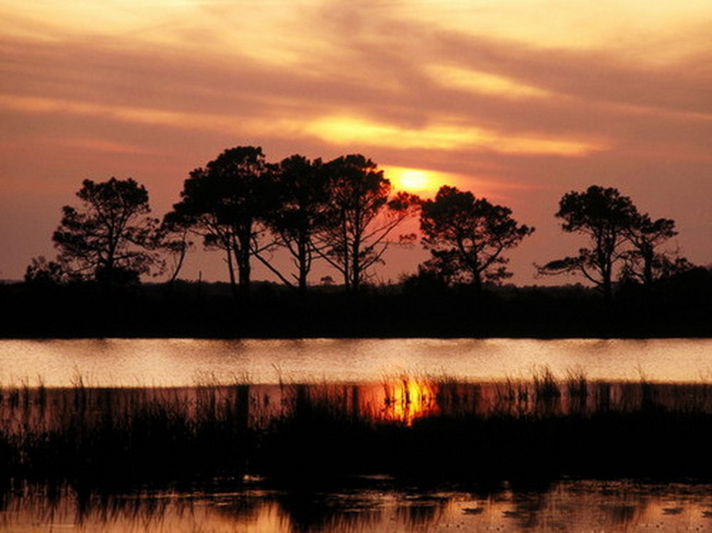 迷人的夕阳模板下载(图片编号:10660762)_自然风光_景物|风景_我图网