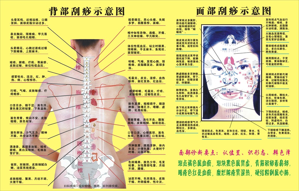 腰背刮痧的方法图解图片