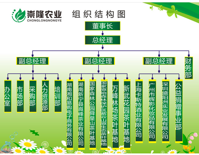 集团公司的组织架构图怎么做