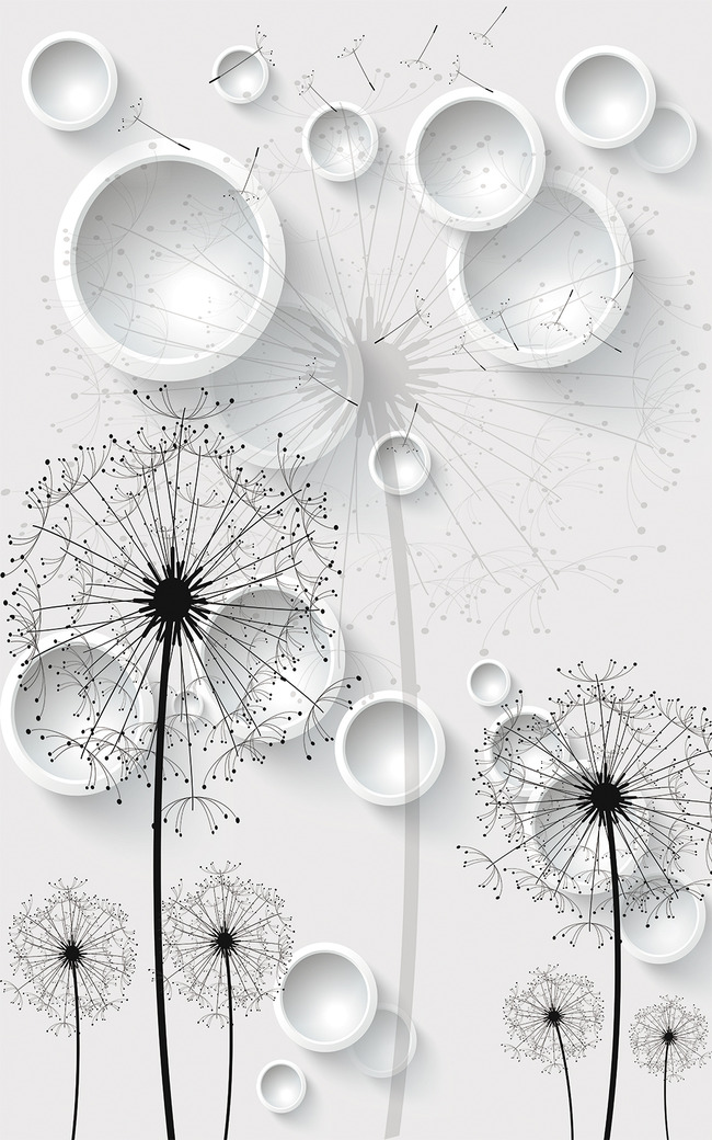 3d圆圈蒲公英黑白3d玄关