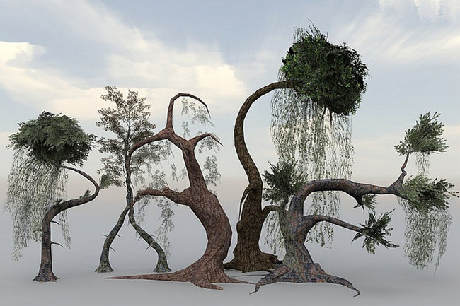 奇幻古树老树大树