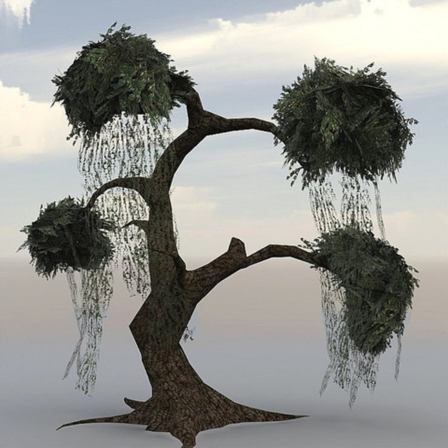 奇幻古树老树大树